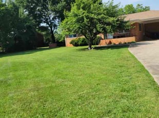 Max D.'s lawn service service result