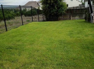 Yasmine E.'s grass maintenance service result