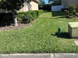 Christina S.'s lawn care service result
