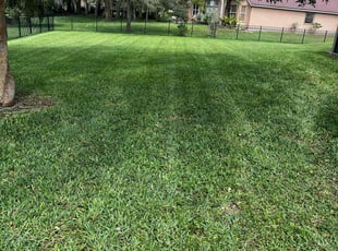 Ronald E.'s turf care service result