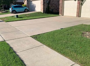 Shannon Y.'s turf care service result