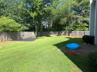 Erica M.'s grass maintenance service result