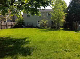 Melissa S.'s turf maintenance service result