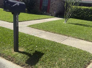 David D.'s turf care service result