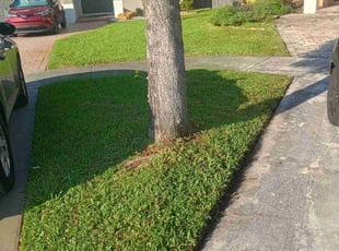 Ashley V.'s grass cutting service result