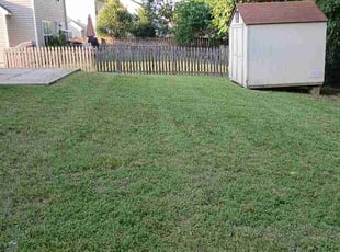 Serita W.'s grass cutting service result