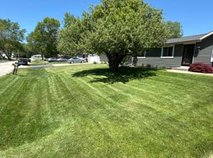 Kris H.'s grass maintenance service result