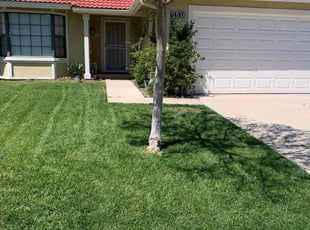 Bertha B.'s yard care service result