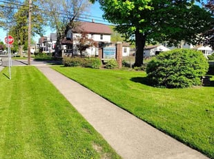 Jeff S.'s grass maintenance service result