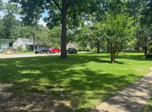 Alicia S.'s lawn care service result