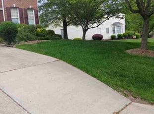 Lori G.'s lawn care service result