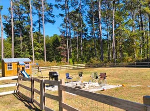 Darlene J.'s lawn care service result