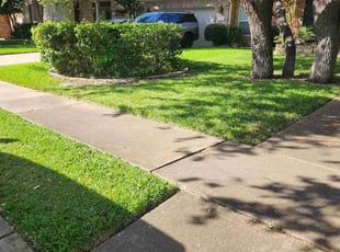 Steven T.'s lawn maintenance service result