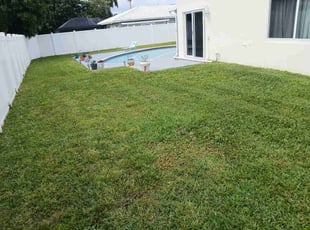 Deneen W.'s lawn care service result