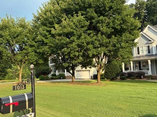 Matthew B.'s grass cutting service result