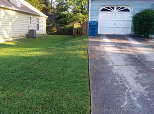 Carla B.'s turf maintenance service result