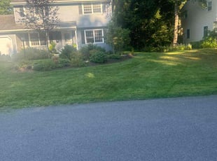 Jeanette S.'s lawn care services service result