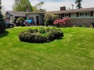 Daniel A.'s grass cutting service result