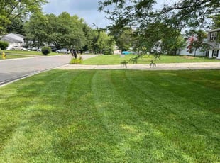 Tristan R.'s turf care service result