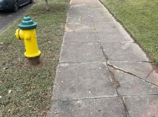 Annie B.'s Leaf Removal service result