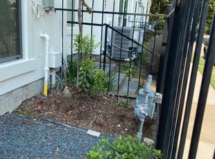 Linsey L.'s Bush Trimming service result