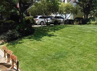 Kyle L.'s turf maintenance service result
