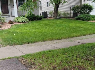 Jason A.'s turf maintenance service result