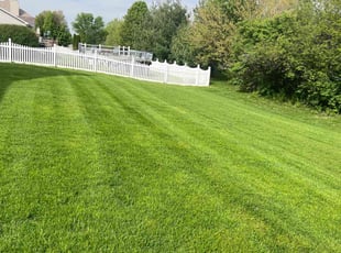 Kate P.'s lawn care services service result