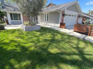 Randy D.'s turf maintenance service result
