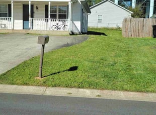 Xavier/Donica B.'s turf maintenance service result