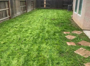 Virginia A.'s turf maintenance service result