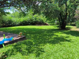 Joseph D.'s lawn maintenance service result