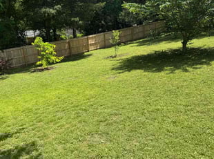 Mr. J.'s grass cutting service result