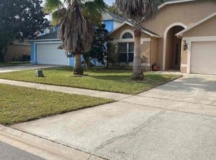 Wayne S.'s lawn care services service result