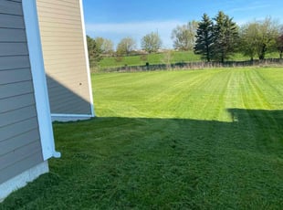 Mike K.'s turf maintenance service result