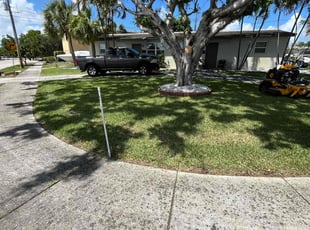 Rodolfo U.'s lawn maintenance service result