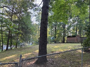 Ida M.'s turf care service result