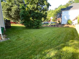 Joseph M.'s turf maintenance service result