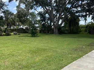 John D.'s grass maintenance service result