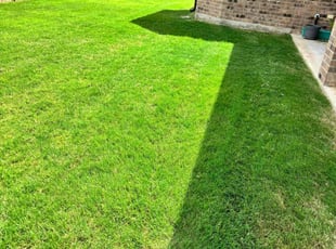 Farah K.'s turf maintenance service result