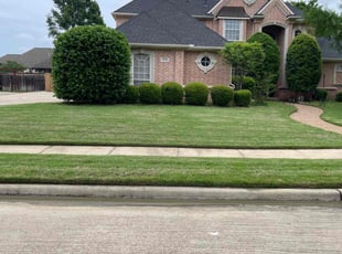 David Y.'s lawn care services service result