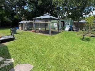 Emily H.'s grass cutting service result