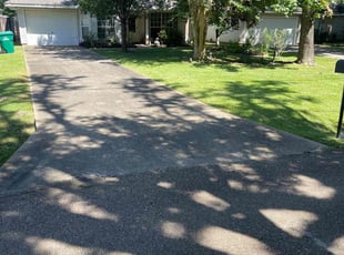 Eddie S.'s turf care service result