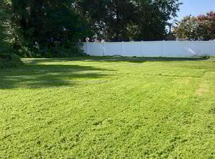 Sandra L.'s residential landscaping service result