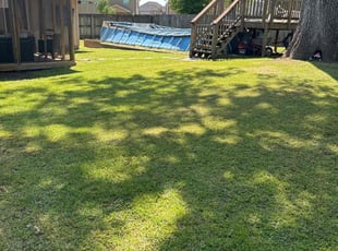 Hunter H.'s lawn care services service result