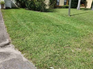 Adrian M.'s lawn care service result