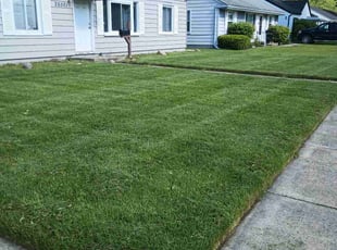 Denise C.'s grass maintenance service result