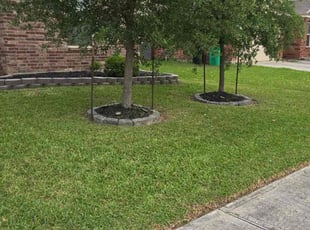 Cheng M.'s lawn care service result