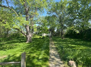 Melissa H.'s grass maintenance service result