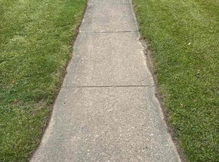 Mike A.'s lawn care service result